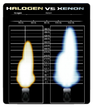 xenon vs halogen